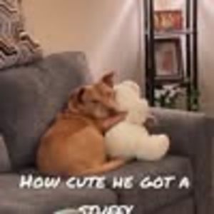 Meet your Posher, Paula